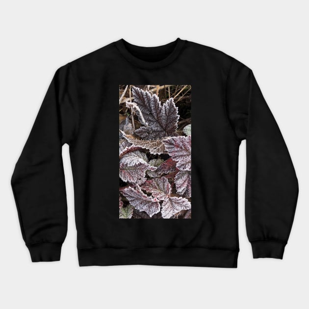 The Beauty and Stillness of Frosty Fall Leaves Crewneck Sweatshirt by Photomersion